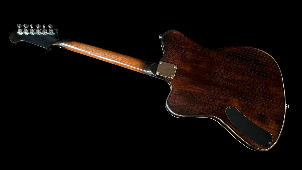 Chambered Zephyr