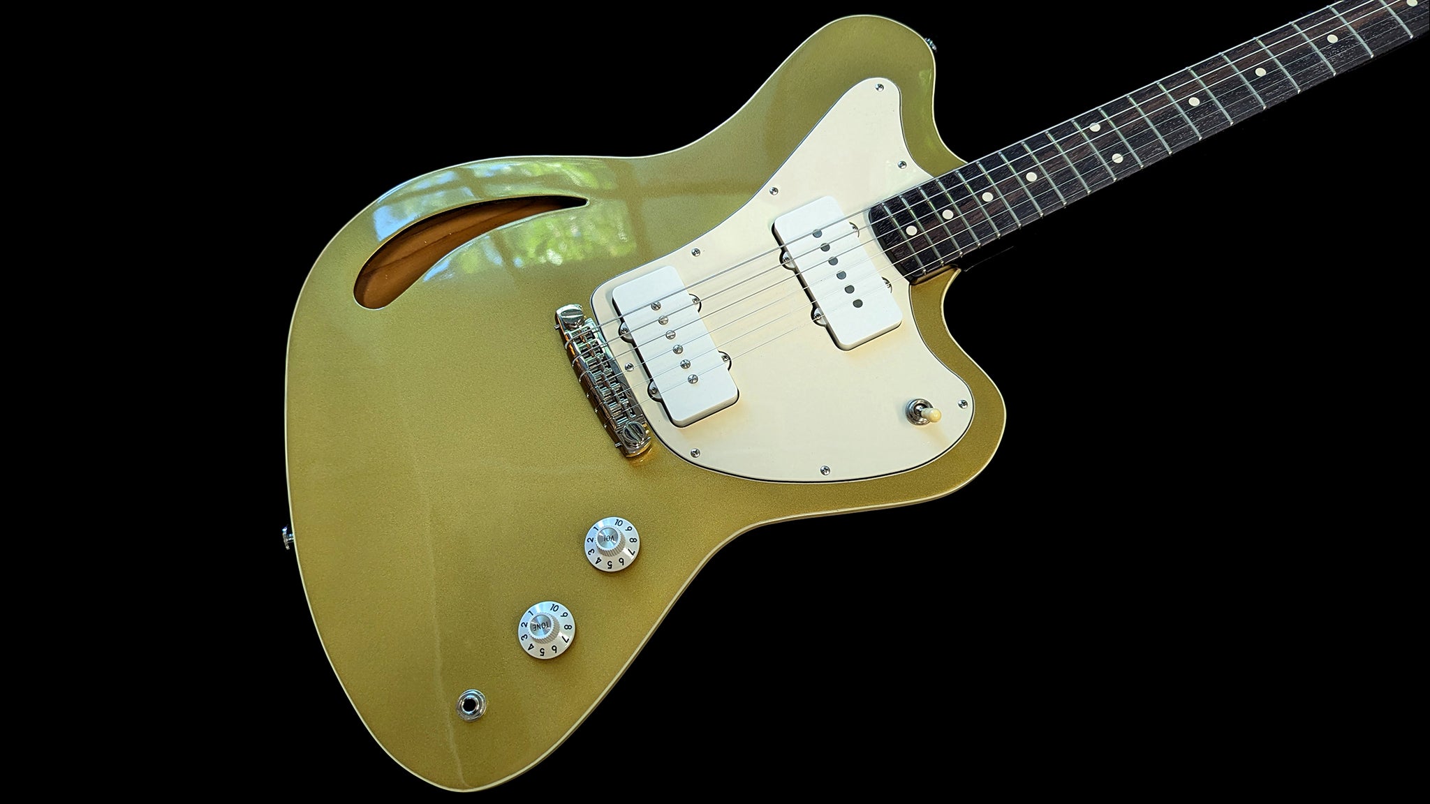 Chambered Zephyr