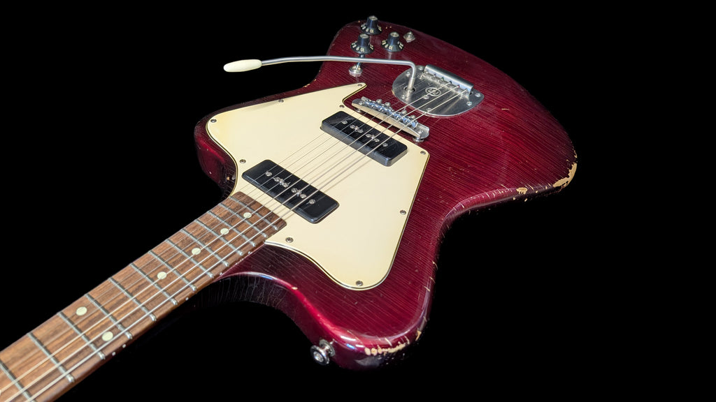Oxblood Cardinal