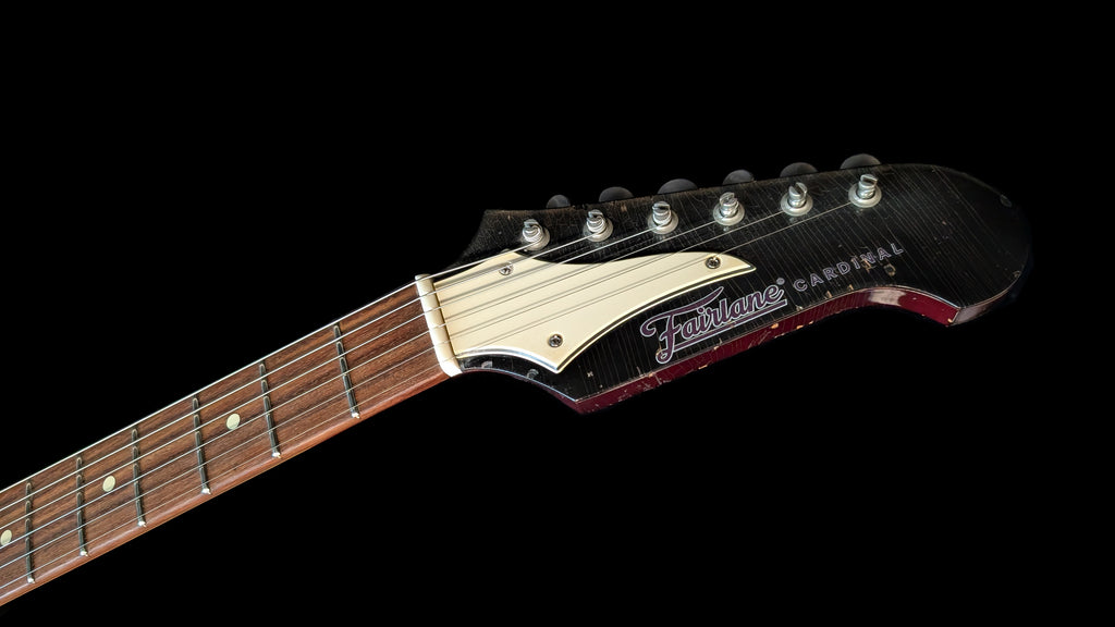 Oxblood Cardinal